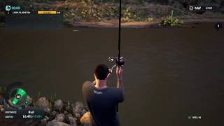 Dovetail Games Euro Fishing Little Catfish