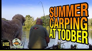 Carp Fishing at Todber Manor June/July 2023 || 3 nights on Willowbank with my dog Alfie || CRAYFISH