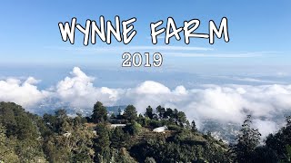 A day at Wynne Farm 2019 || Kenscoff, Haiti