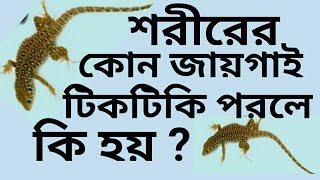 শরীরের কোথায় টিকটিকি পরলে কি হয়?শরীরের টিকটিকি পরলে অর্থ কি / shorire tiktiki porle ki hi ?