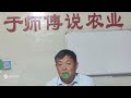 于师傅生姜高产技术讲座 24期 大姜出苗时间和培养优质姜种重要性