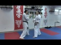 shihan gorokhov s kumite 1 oi tsuki.