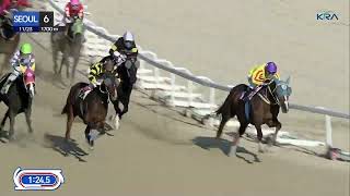 (Seoul) 2024.11.23 R6 Class 5 (1700M) Handicap