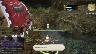 【FF14】ジョブクエスト：学者クエスト：海兵魂、海兵魂、海兵魂！ #1527