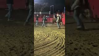 Thursday 8 second ride #bull #cowboys #rodeo toro bravo arena