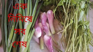 মুখের স্বাদ ফেরাতে বানান এইরকম একটা রান্না/একবার খেলে বারবার খেতে মন চাইবে