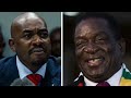 watch live part 2 nelson chamisa vs zemnation