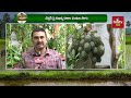 organic products in udyan utsav ఉద్యాన్ ఉత్సవ్ లో ఆర్గానిక్ ఉత్పత్తులు hmtv agri