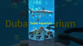 5 place to visit in Dubai #shorts#viralvideo