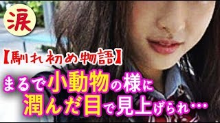 【馴れ初め物語】まるで小動物の様に潤んだ目で見上げられ…【涙・感動の話】『涙あふれて』【感動する話】