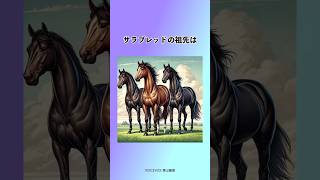 知られていない競馬の裏側　#雑学 #雑学豆知識 #1分雑学 #豆知識