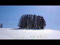 【北海道 美瑛】春の足音～素敵なパッチワークの路をご覧下さい！！