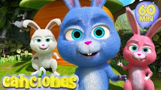 Conejitos dormilones  - Rimas y canciones infantiles | LooLoo