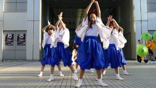 横浜百姫隊 （ 2016ドリームよさこい・フジテレビ会場・百狐の嫁入り）