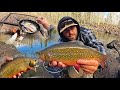 WILD TROUT Fishing at PRISTINE Mountain Lake!!! (Catch & Cook)