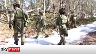 Ukraine war: Putin warns Finland against joining the NATO alliance