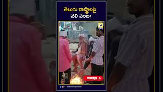 తెలుగు రాష్ట్రాలపై చలి పంజా | Cold Wave Latest Updates