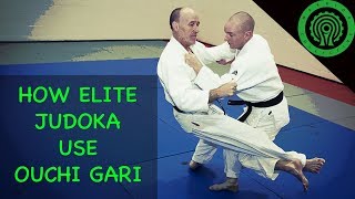 How Elite Judoka Set up, Use and Flow from Ouchi Gari for Judo / BJJ