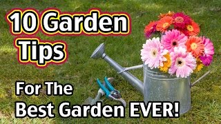 10 Garden Tips For The Best Garden EVER!