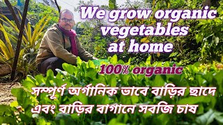 WE GROW ORGANIC VEGETABLES AT HOME | সম্পূর্ণ অর্গানিক ভাবে বাড়ির ছাদে এবং বাড়ির বাগানে সবজি চাষ |