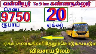 வள்ளியூர் To9Km கண்ணநல்லூர் 20 ஏக்கர் விவசாயநிலம்.சென்ட் 9750 ரூபாய்.பஸ்ரோடு.20அடிநீர்-646-021.11.26