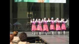 MVI 5567 Chicago Turkish Festival 9-2-2015