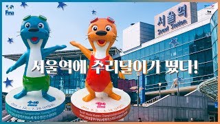 서울역에 뜬 수리와 달이!!