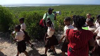 Primary School Tsunami Drill Exercise