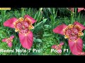 Redmi Note 7 Pro vs Poco F1 camera comparison | #REDMINOTE7PRO #48MP #POCOF1 #REDMINOTE7 #TECHBUKHAR