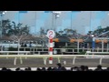 2016.12.29 東京大賞典 大井競馬場 現地映像