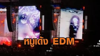 ‘หมูเด้ง’ ปังไม่หยุด! ล่าสุดเป็นแขกรับเชิญบนเวทีคอนเสิร์ต EDM เรียกเสียงกรี๊ดสนั่น ลั่นอเมริกา