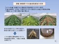 2020植物バイオテクノロジー概論 2