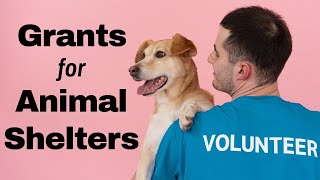 Struggling to Fund Your Shelter? Here's Where to Look
