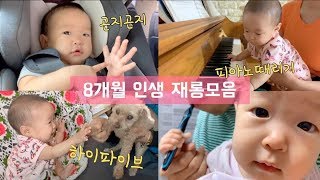 [파파제스] 세상 사람들~ 우리 로라 재롱 좀 보고 가세요 💛