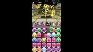 【パズドラ】夜想詠神・ツクヨミ×焔月輪の白虎・ハク 皇たる機械龍 Sランク