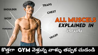 All muscles explained in telugu || What are the names of muscles telugu || #telugufitnesschannel