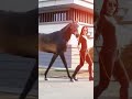 chinese girl with beautiful horse short video 2022