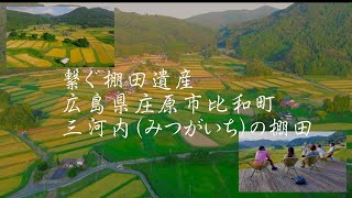 繋ぐ棚田遺産、三河内（みつがいち）の棚田　The interconnected rice terrace heritage of Mitugaichi