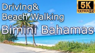 【5K】Driving \u0026 Beach Walking | Bimini Bahamas