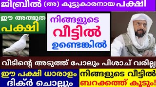 ഈ അത്ഭുത പക്ഷി നിങ്ങളുടെ വീട്ടിൽ ഉണ്ടെങ്കിൽ ബറകത്ത് നിറയും |dikkur |duaa |swalath |