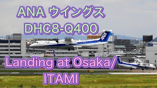 [4K] ANAウイングス ボンバルディア DHC8-Q400 大阪/伊丹空港 着陸 All Nippon Airways DHC8-Q400 Landing at Osaka/ITAMI