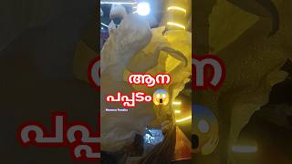 ചുട്ട പപ്പടം🤣 #shortsfeed #funny #comedyshorts #comedy #comedyvideos #viralvideo#shorts #shortsviral