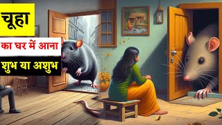 घर में चूहे का आना क्या संकेत देता है शुभ या अशुभ | chuhe Ka Ghar Mein Aana Shubh ya ashubh