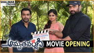 Amrutha Varshini Movie Opening || Nandamuri Tarakaratna,Megha Sri || Shalimarcinema