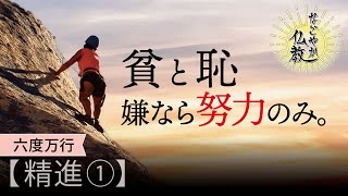 努力を怠って得られるものは「貧と恥のみ」《精進1》【なごやか仏教73】