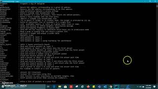 Creating Packets with Scapy