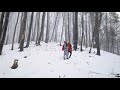 couple among snowy trees stock video