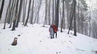 Couple Among Snowy Trees Stock Video