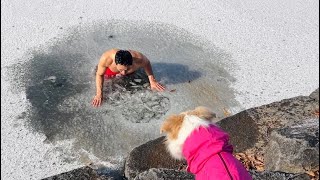 장박텐트에서 개 4마리랑 아늑한 캠핑 그리고 새해 얼음물입수 🧊❄️