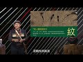 【zalan見識南島s3】ep11 1｜南島藝術與生活實踐—世大運視覺創意統籌藝術家伊誕巴瓦瓦隆用圖像將語言視覺化！｜主持人：謝哲青｜講者：伊誕．巴瓦瓦隆